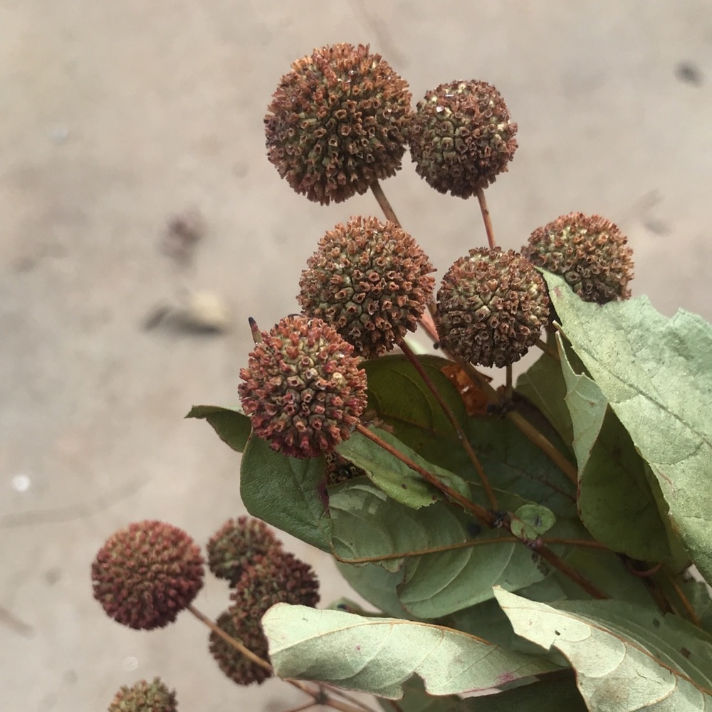 Meet your Posher, Nakita